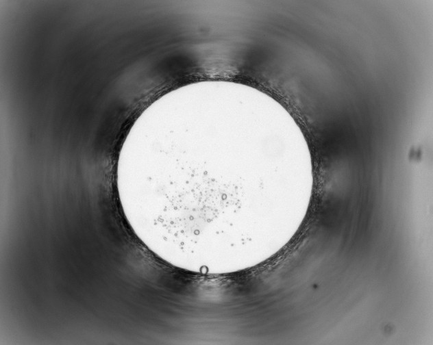 X0000103910321200810101313