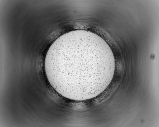 X0000103910322200810101313