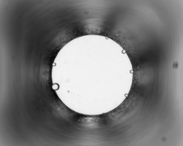 X0000103910323200810101313