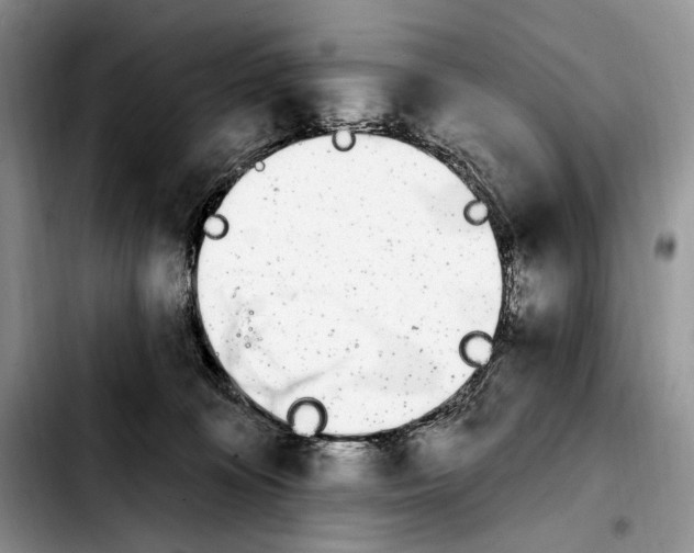 X0000103910324200810101313