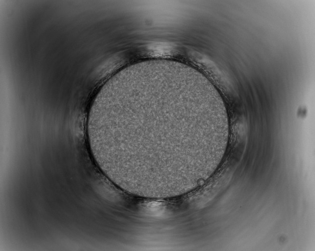 X0000103910325200810101313