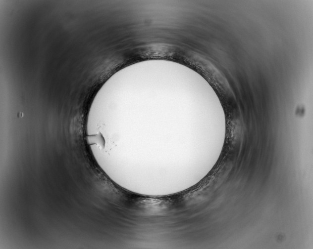 X0000103910326200810101313