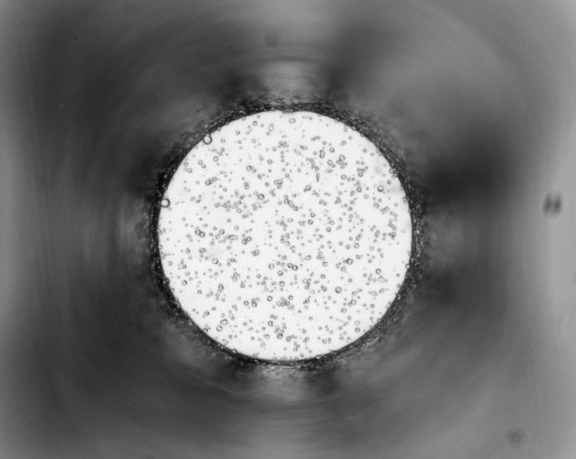 X0000103910327200810101313