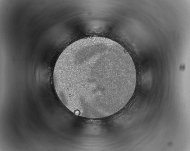 X0000103910328200810101313