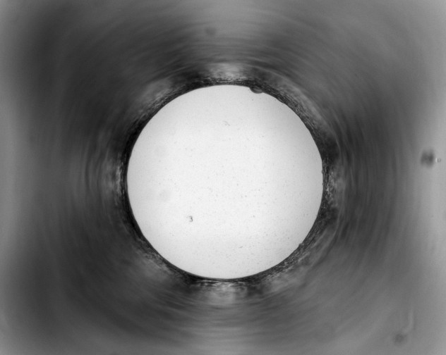 X0000103910330200810101313