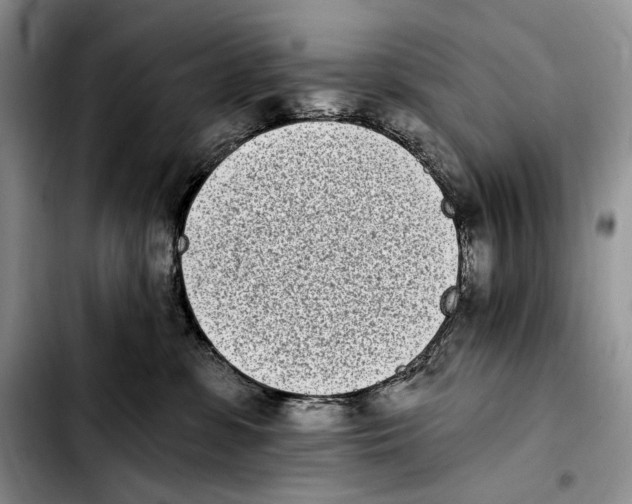 X0000103910331200810101313