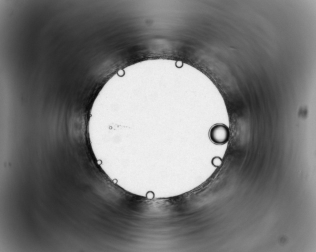 X0000103910333200810101313