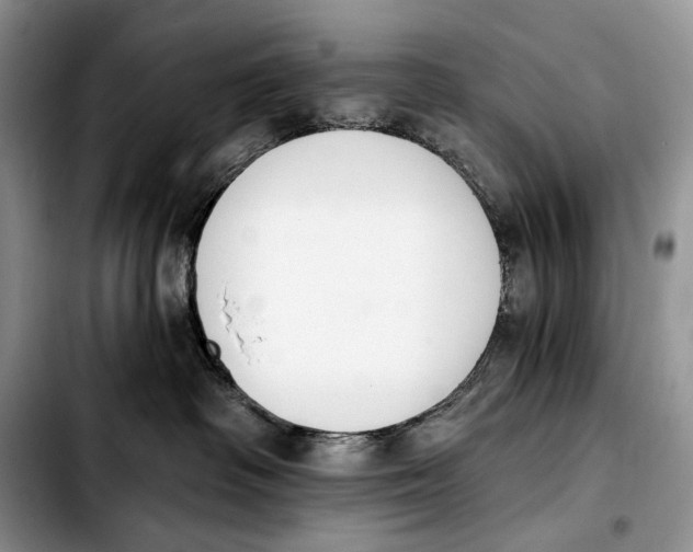 X0000103910334200810101313