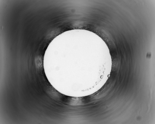 X0000103910335200810101313