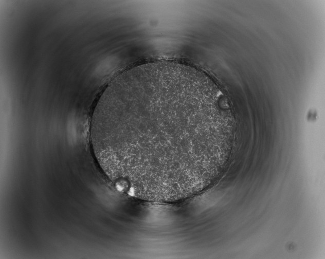 X0000103910336200810101313