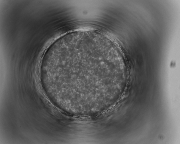 X0000103910337200810101312