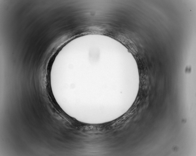 X0000103910338200810101312