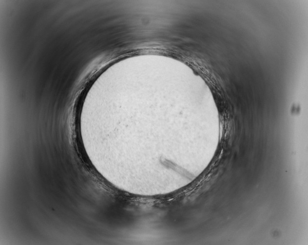 X0000103910339200810101312