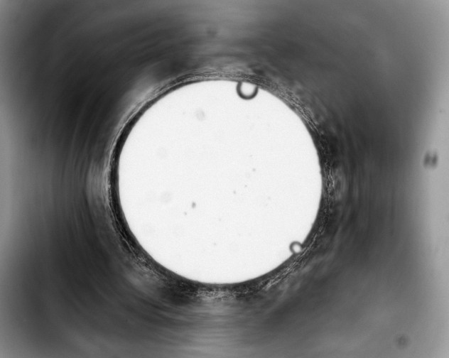 X0000103910340200810101312