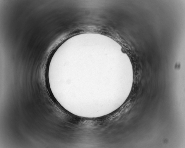 X0000103910341200810101312