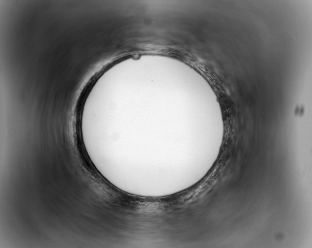 X0000103910342200810101313