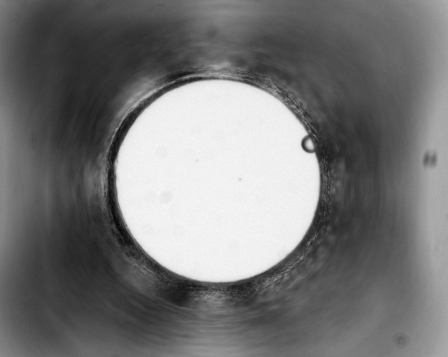 X0000103910344200810101313