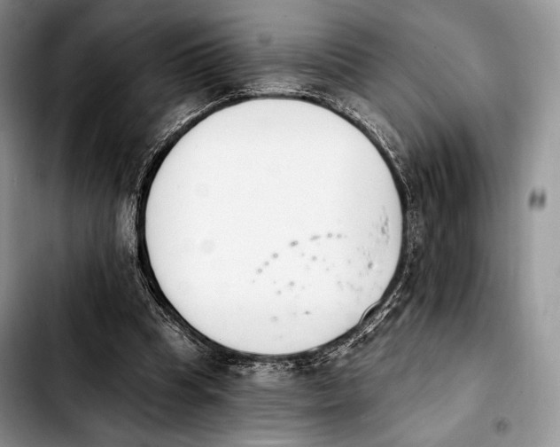 X0000103910345200810101313