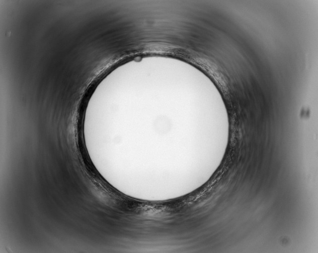 X0000103910346200810101313