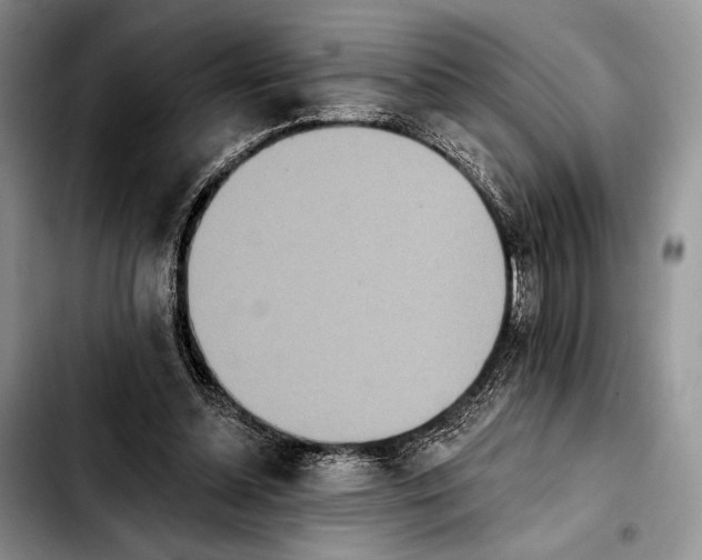 X0000103910348200810101313