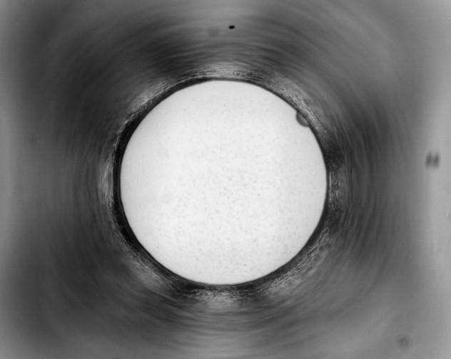 X0000103910349200810101313