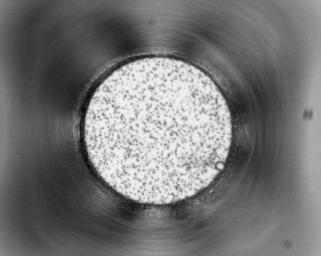 X0000103910350200810101313