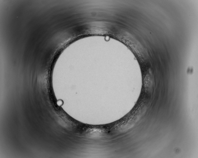 X0000103910352200810101313