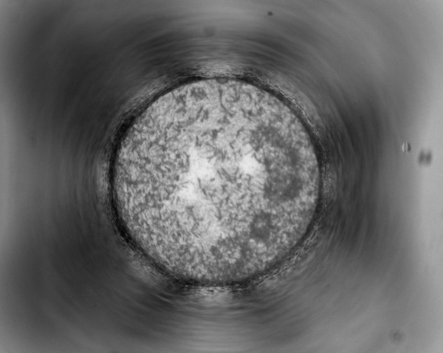 X0000103910353200810101313