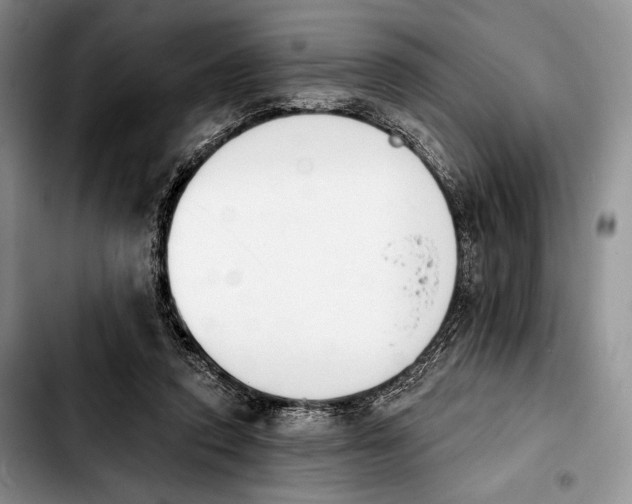 X0000103910354200810101313