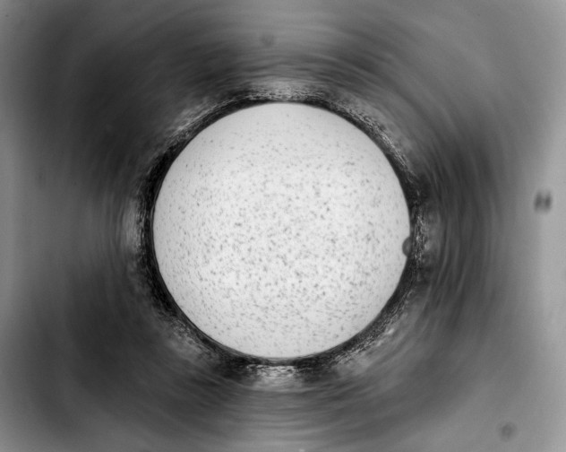 X0000103910355200810101313
