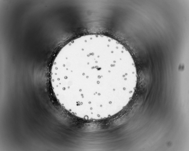 X0000103910356200810101313
