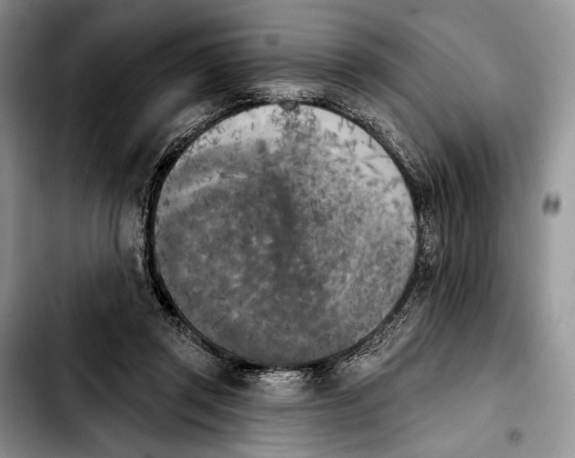 X0000103910357200810101313