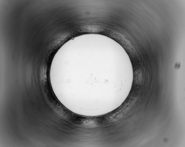 X0000103910358200810101313