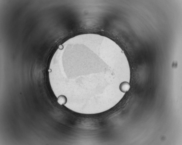 X0000103910360200810101313