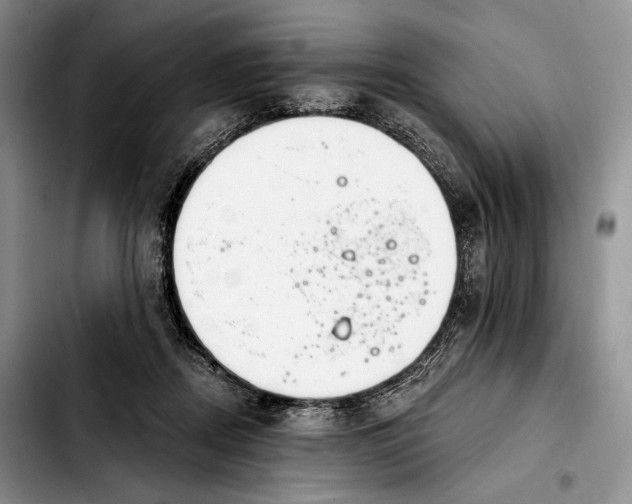 X0000103910362200810101313