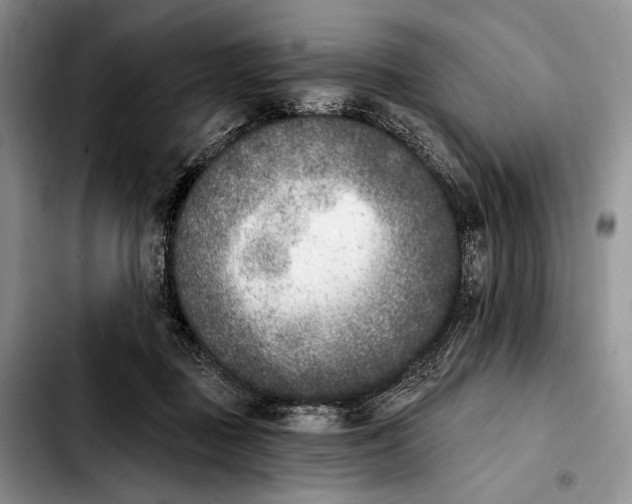 X0000103910363200810101313