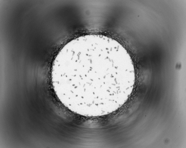 X0000103910364200810101313
