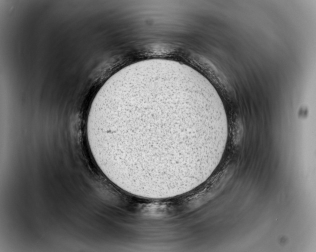 X0000103910366200810101313