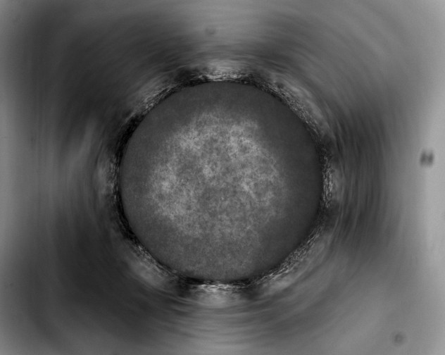 X0000103910367200810101313