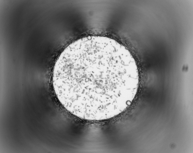 X0000103910368200810101313