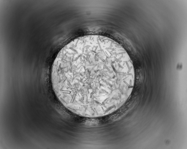 X0000103910369200810101313