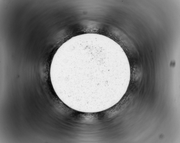 X0000103910370200810101313