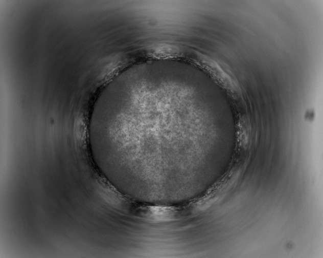X0000103910371200810101313