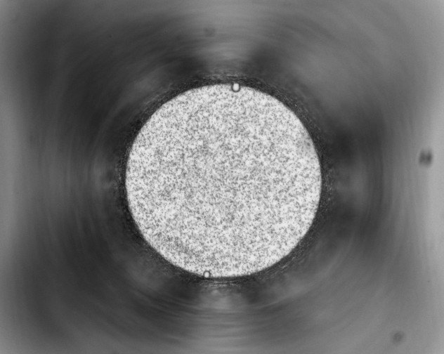X0000103910372200810101313