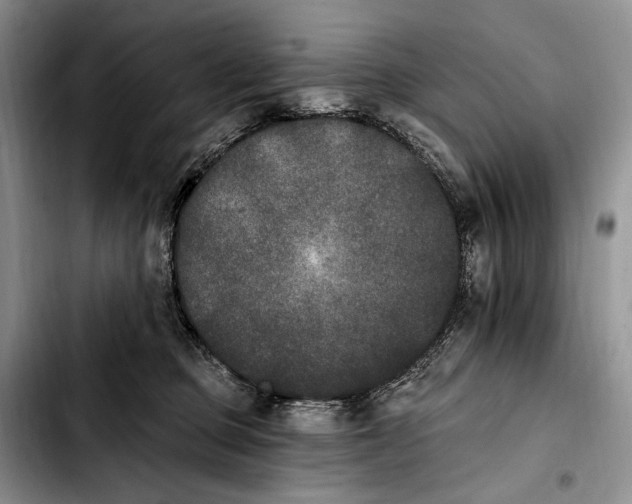 X0000103910373200810101313