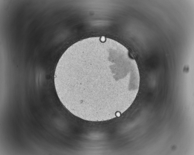 X0000103910376200810101313