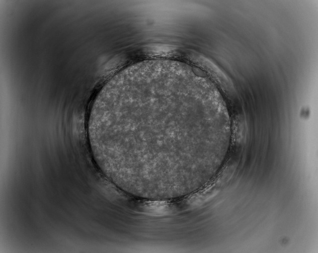 X0000103910377200810101313