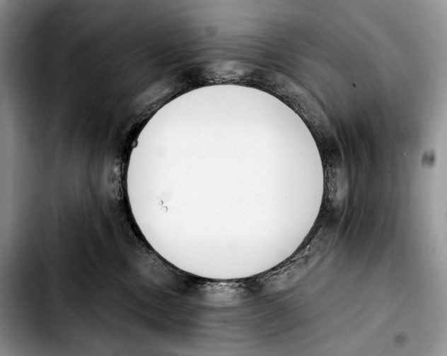 X0000103910378200810101313