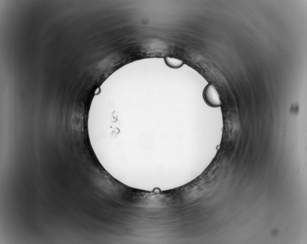 X0000103910379200810101313