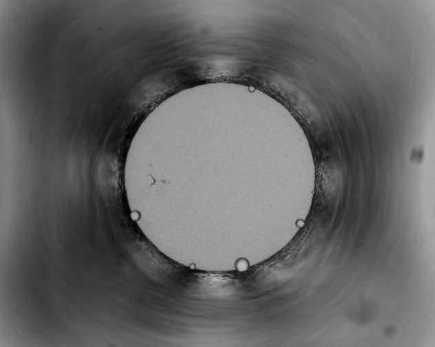 X0000103910380200810101313